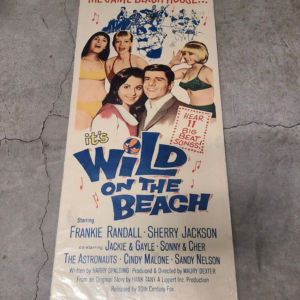 Wild On The Beach 1965 Inserts