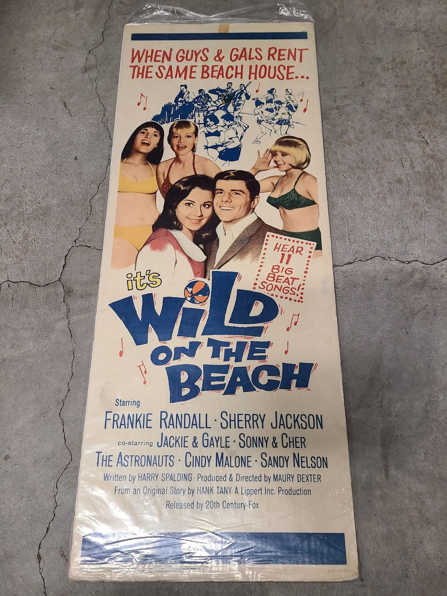Wild On The Beach 1965 Inserts