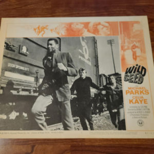 Wild Seed 1965 General Lobby Cards