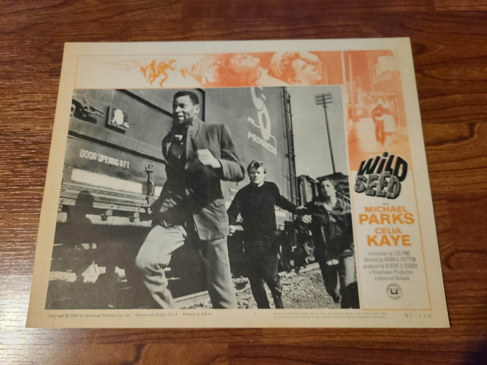Wild Seed 1965 General Lobby Cards
