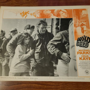 Wild Seed 1965 General Lobby Cards