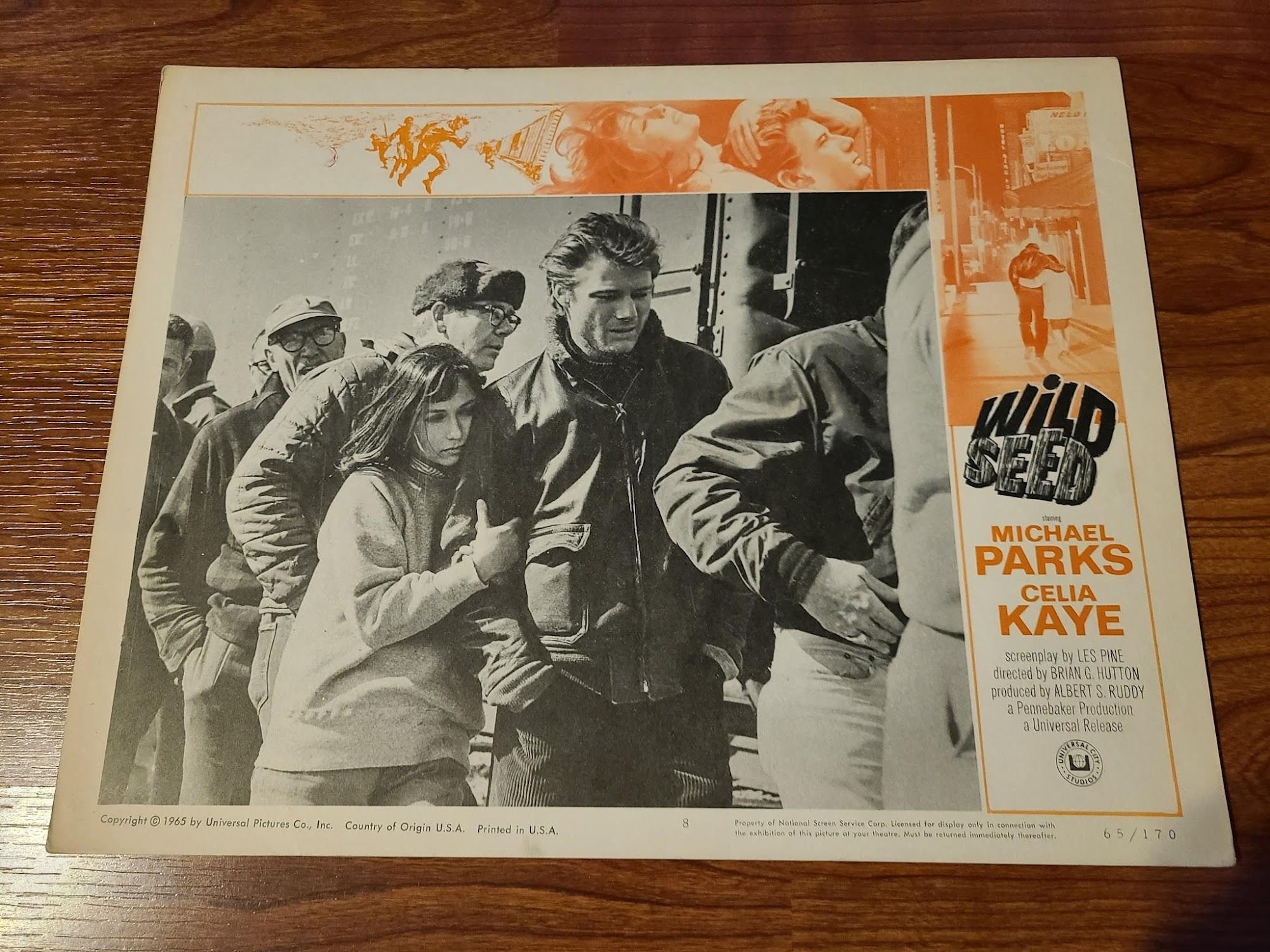 Wild Seed 1965 General Lobby Cards