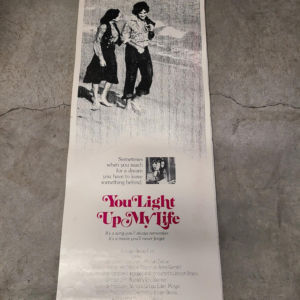 You Light Up My Life 1977 Inserts