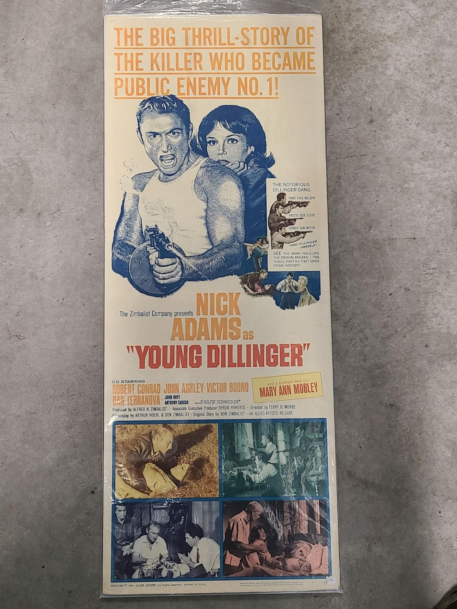 Young Dillinger 1965 Inserts