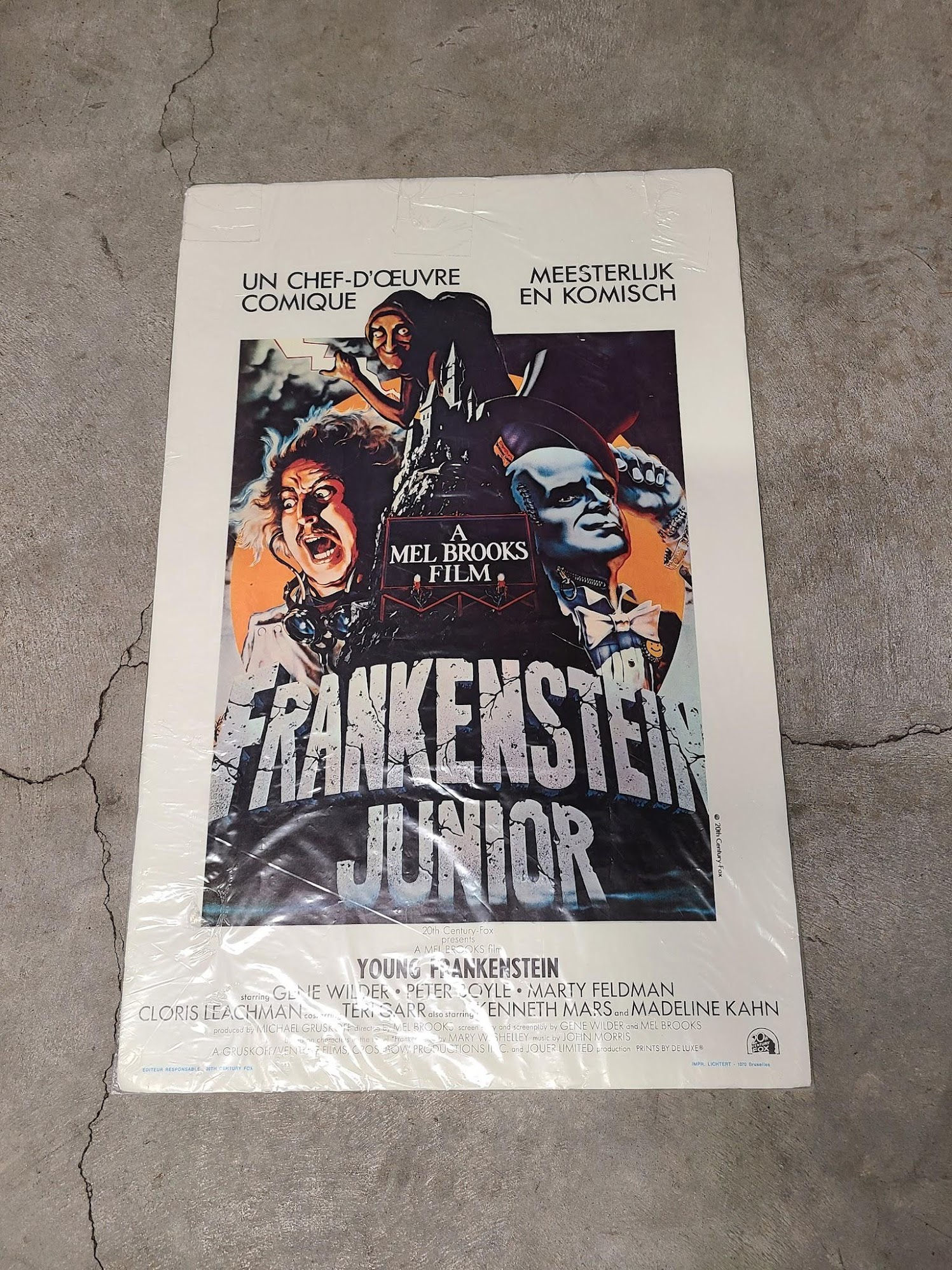 Young Frankenstein 1974 Belgium