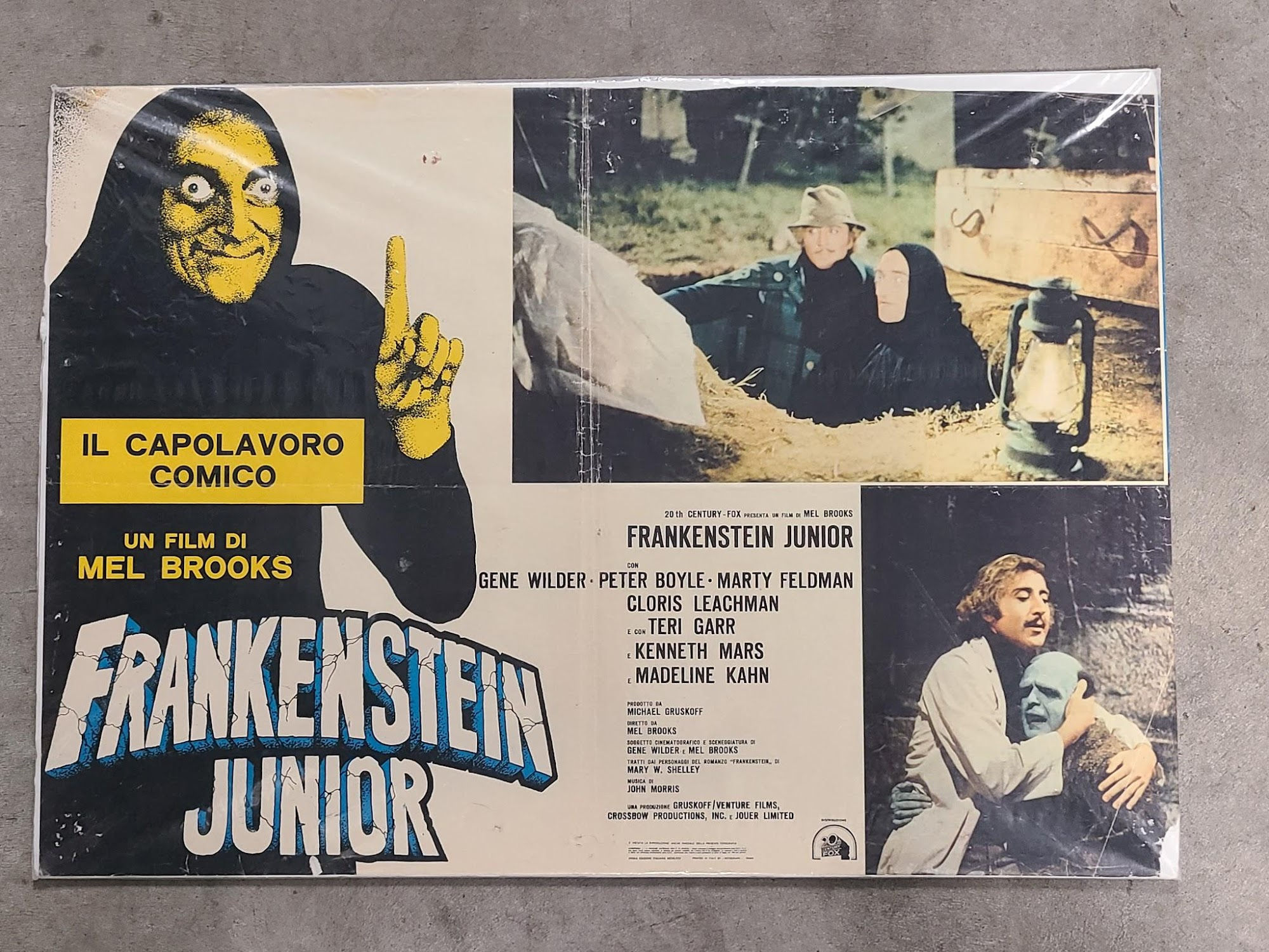 Young Frankenstein 1974 Fotobusta