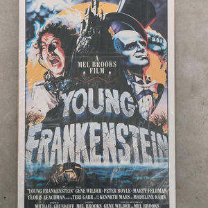 Young Frankenstein 1974 Window Cards