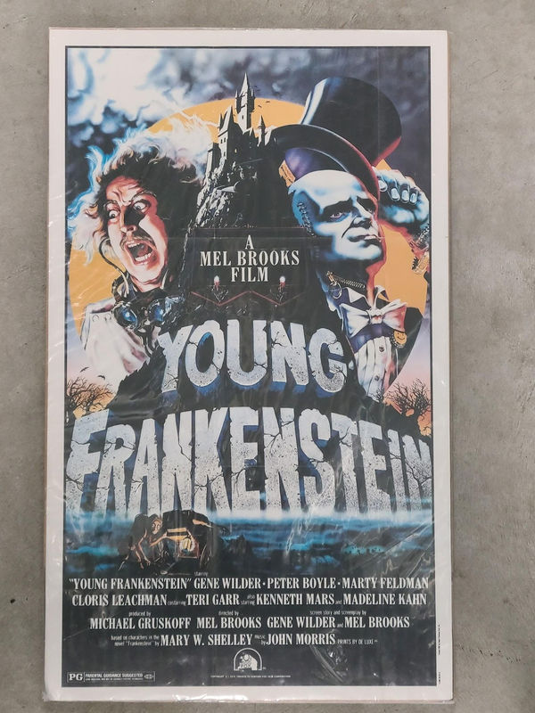 Young Frankenstein 1974 Window Cards