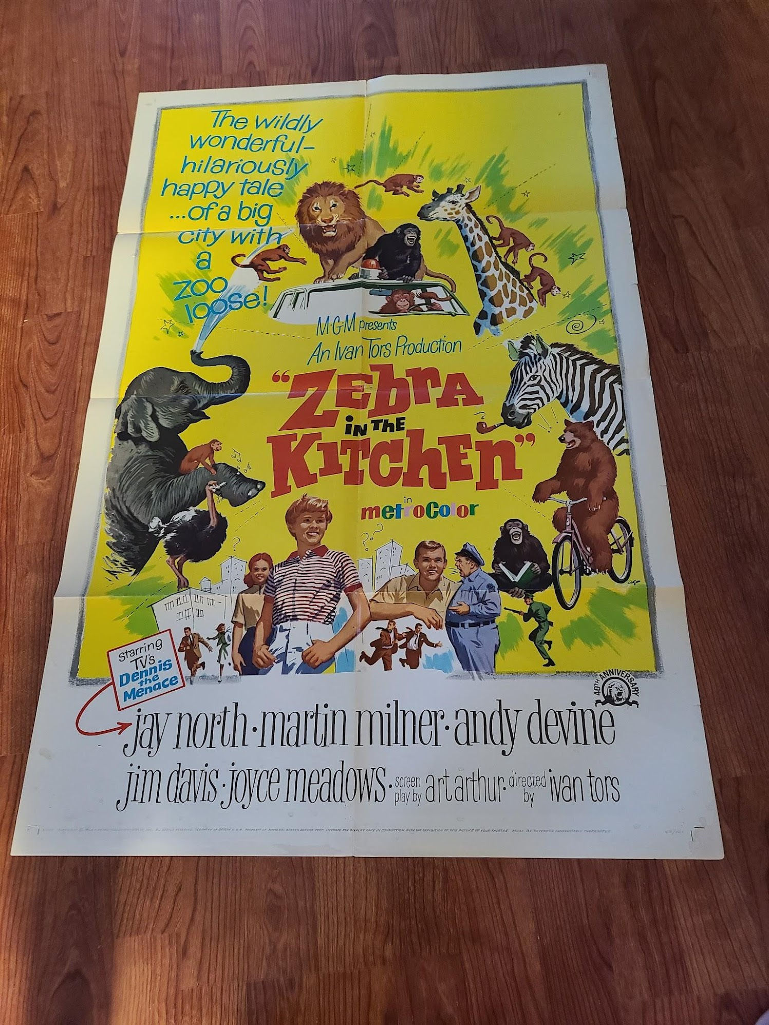 Zebra in the Kitchen 1965 1 Sheets/US