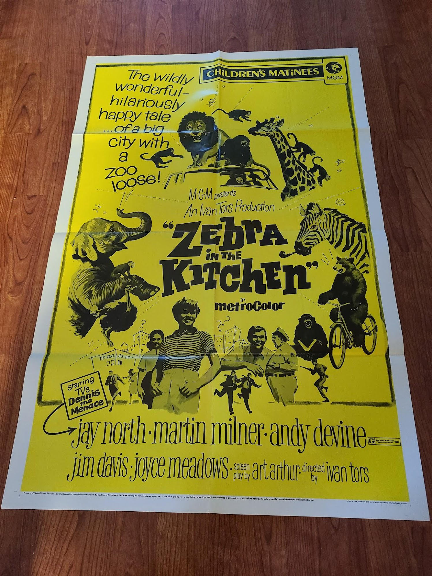 Zebra in the Kitchen 1965 1 Sheets/US