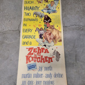 Zebra In The Kitchen 1965 Inserts