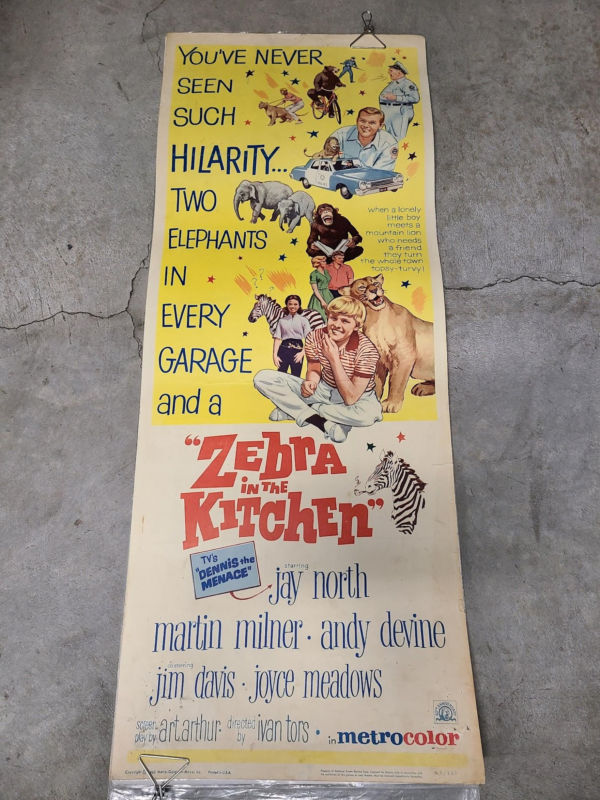 Zebra In The Kitchen 1965 Inserts