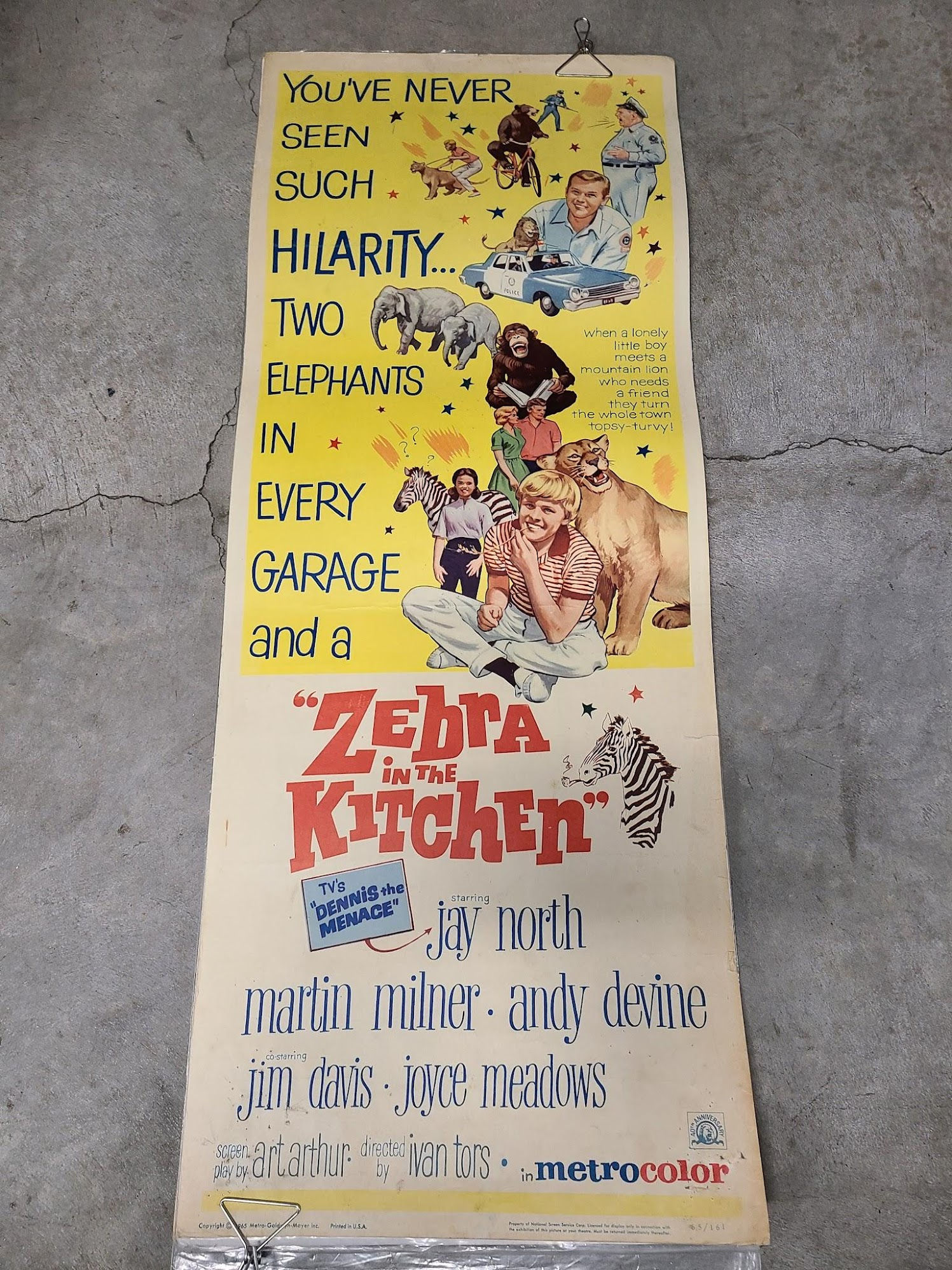 Zebra In The Kitchen 1965 Inserts