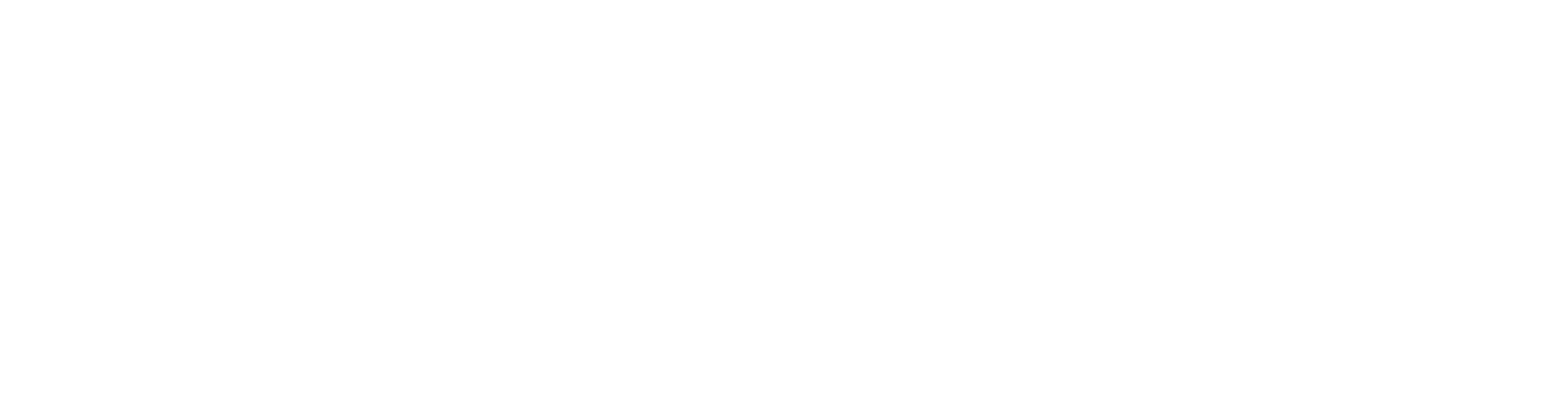 Petech Logo