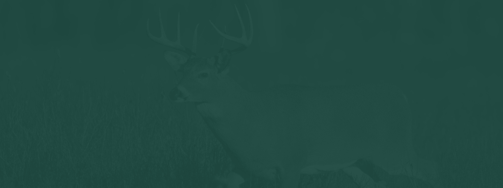featured image for Hunting