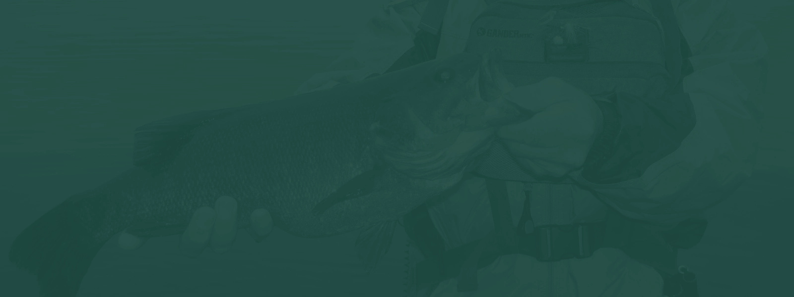 featured image for Fishing in Maine