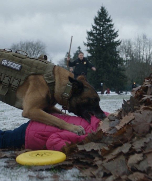 He Ordered His Own K9 Shot—Then He Saw What Titan Was Actually Watching