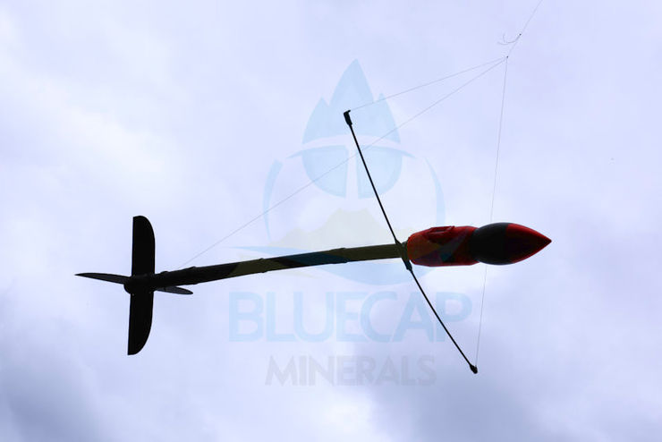 Black-bodied BlueCapBird with a red sensor housing suspended in flight