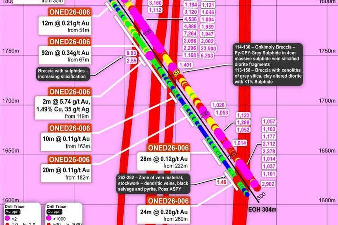 Drill-hole cross section with logged geology and assay intervals from a client drilling programme