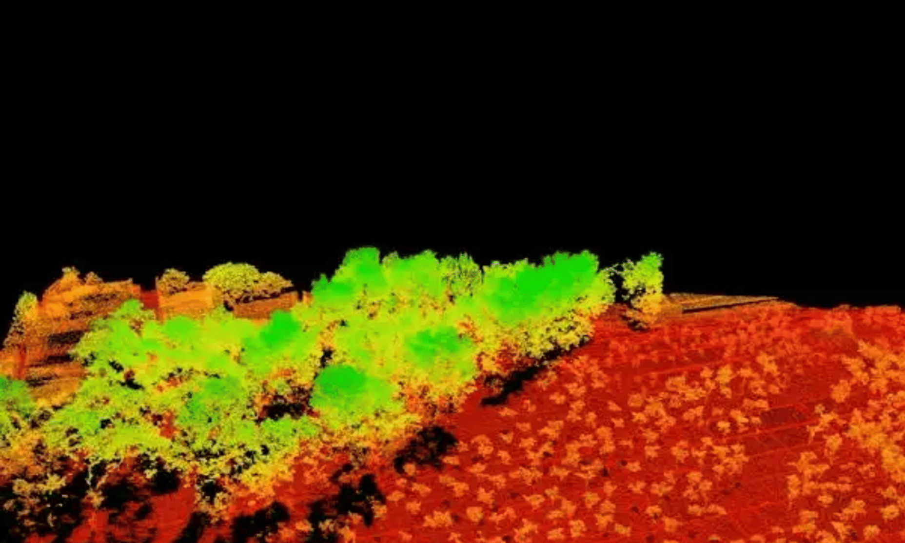 Drone LiDAR terrain mapping and elevation model produced by BlueCap