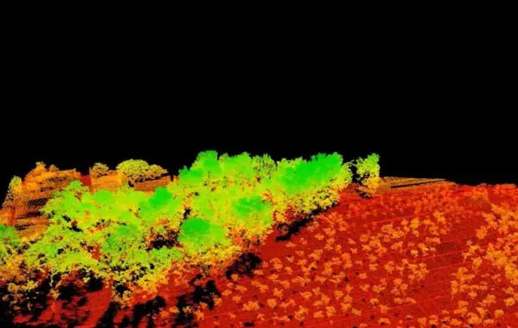 LiDAR terrain visualisation showing vegetation and landform structure