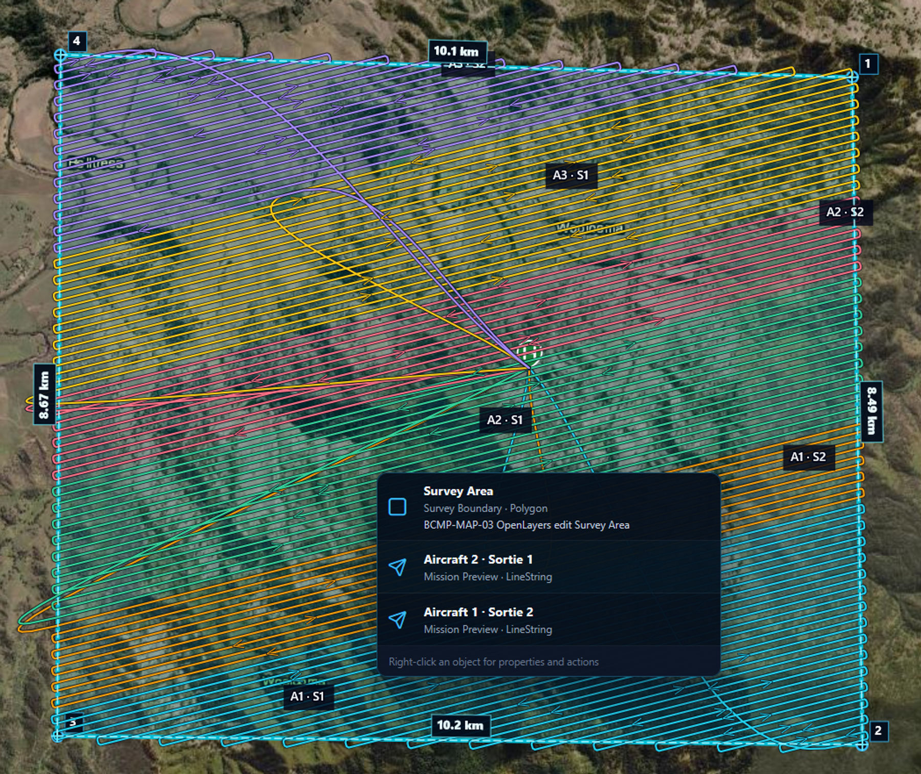 BlueCap Portal survey map divided into coordinated routes for four aircraft sorties