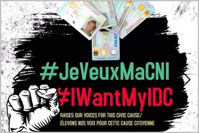 Visuel du mouvement #JeVeuxMaCNI lancé par Anne-Féconde Noah. Source: lalecturejecontribue.com /CC-BY