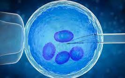 3 Common Assisted Reproductive Technologies Described