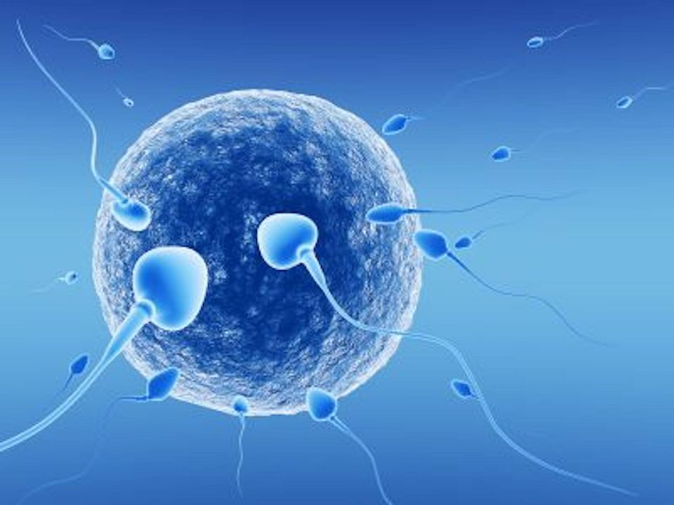 IVF Treatment in Indore