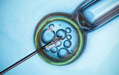 Fertility Preservation: How IVF Can Help Women with Cancer Maintain their Fertility