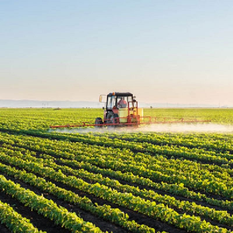 Fertilizer Dealership Cost