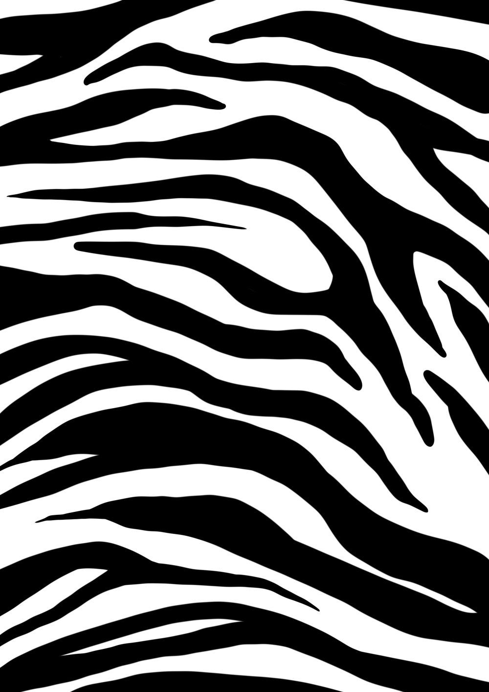 Konten Pola Zebra Putih Hitam