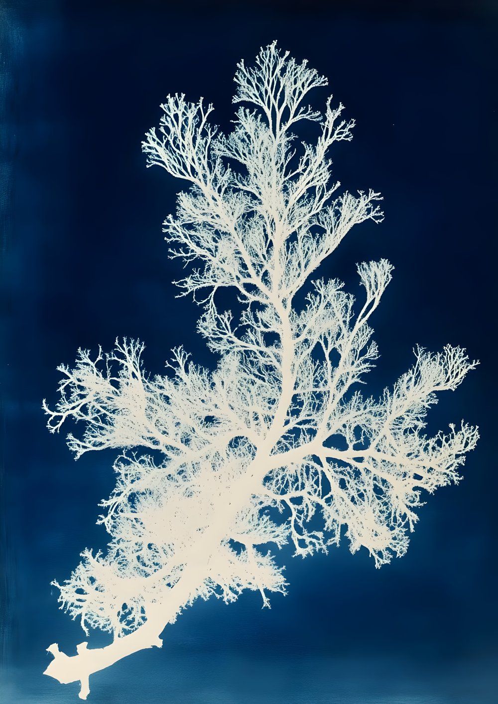 Konten Foto Coral-Like Structure