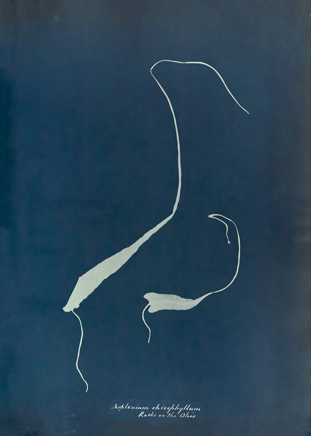 Konten Poster Abstrak dengan Desain Human Figure