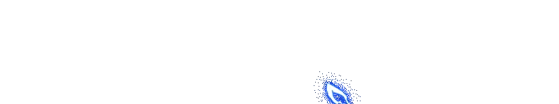 LOGO ZEUS800