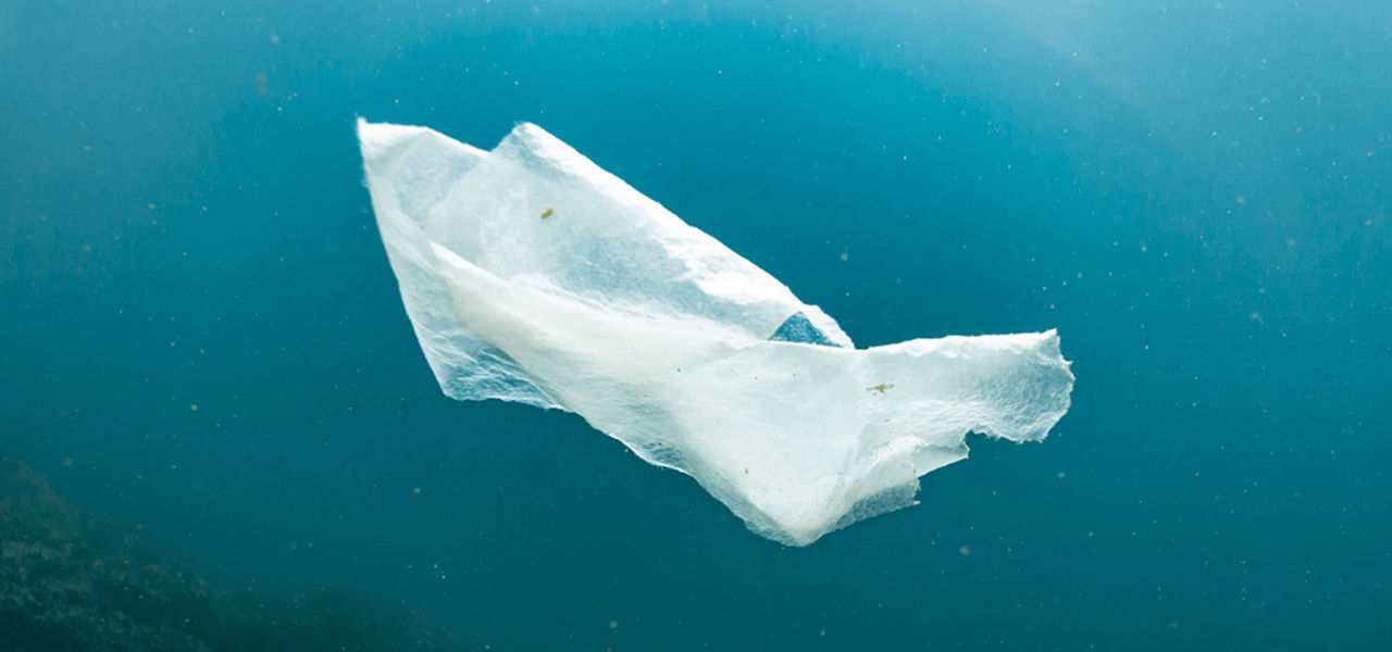 Tissue paper floating through the ocean 