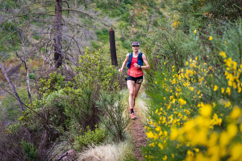 Image for Canyons Endurance Runs by UTMB