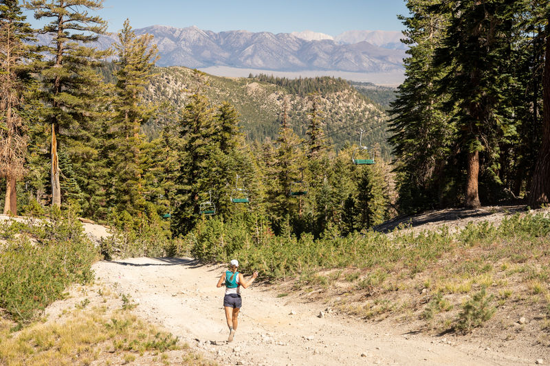 Image for Mammoth Trail Festival