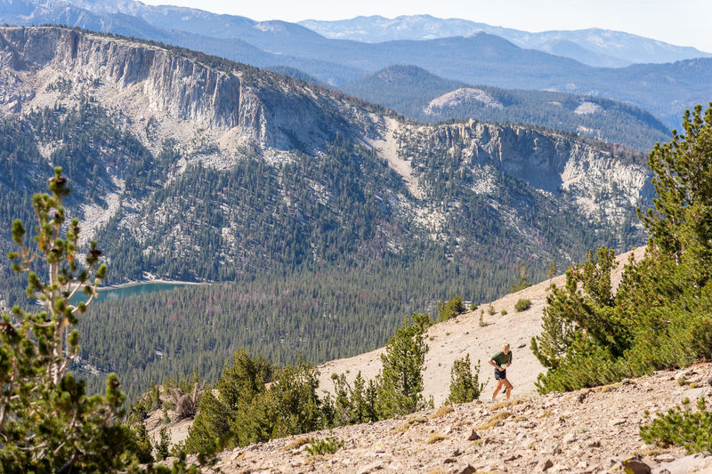 Image for Mammoth Trail Festival