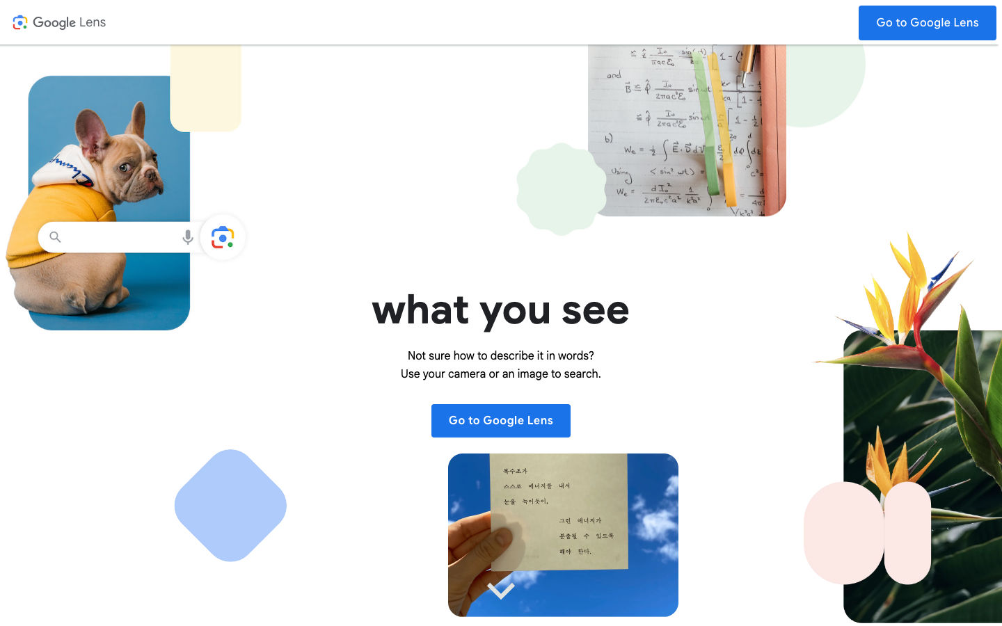 Socratic by Google product preview