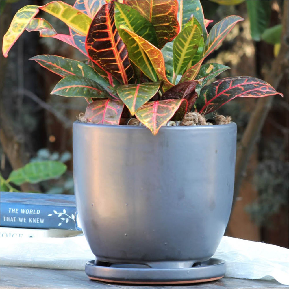 Pac Home 4.5 in. Maui Silver Indoor Planter With Attached Saucer