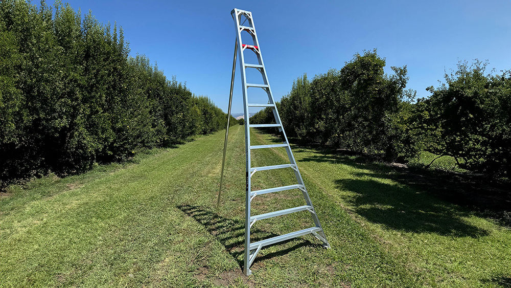 Stokes 1116 Aluminum Tripod Ladder 16-ft at Central Valley | Ladders
