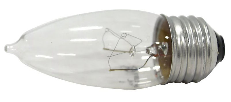 Incandescent Light Bulb- 25W- Clear - 4 pack at Dufrene Building ...