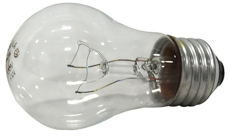 Incandescent Light Bulb- 40W- Clear - 2 pack at Dufrene Building ...
