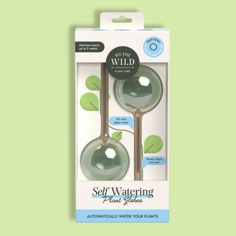 We the Wild Self-Watering Globe - Thumbnail 3