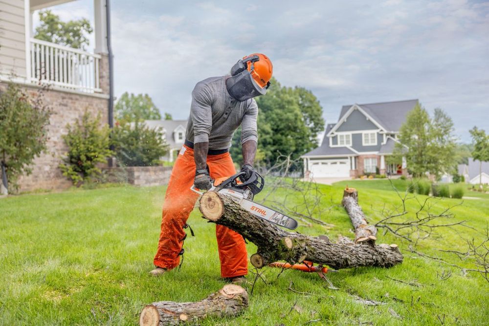 Stihl MS 162-Z Gasoline-Powered Chainsaw 16-in at Central Valley