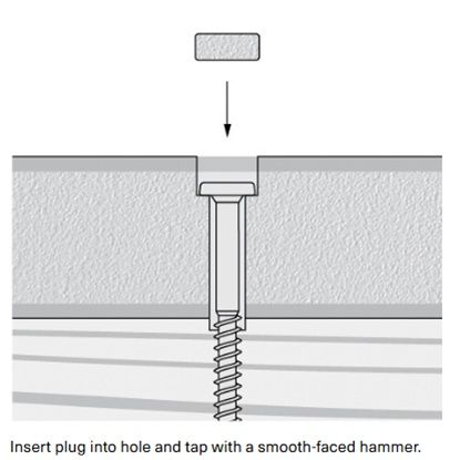 Clam Shell 100CT/Box Fascia Screws and Plugs at GR Mitchell, Inc | Trex ...