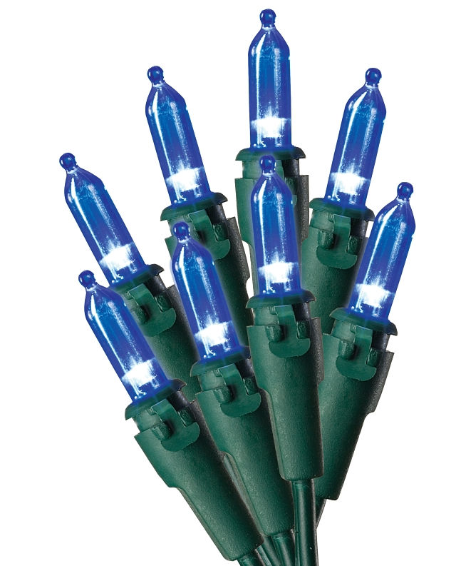 Sylvania Mini LED Blue Light Set - 100 Lights at Melrose Lumber Co ...