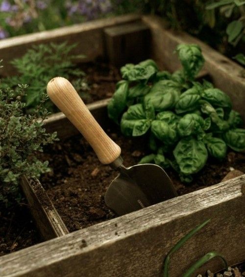 Garden Tools | Lawn & Garden