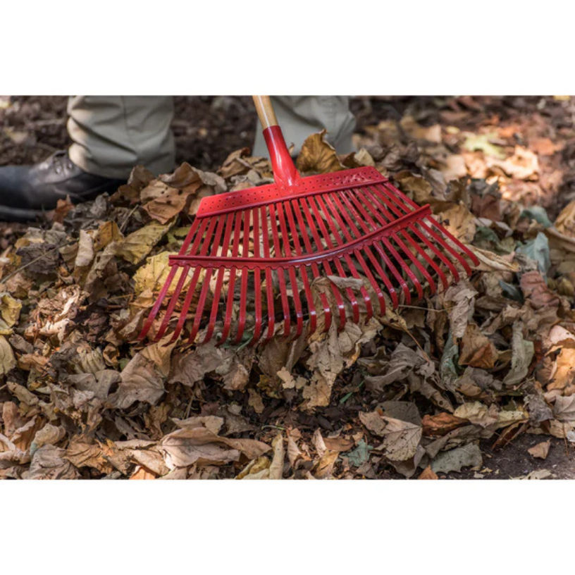 Corona Fixed Tine Leaf Rake with Wood Handle at Moscow & Pullman ...